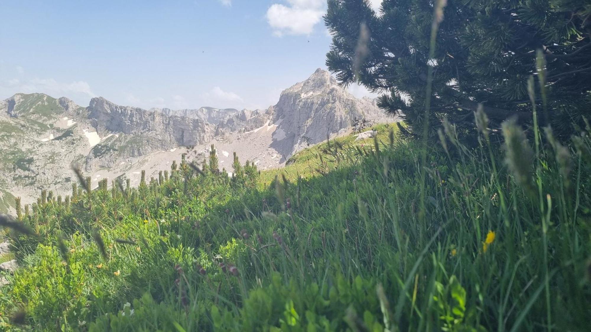 Durmitor Glamp Hotell Žabljak Exteriör bild